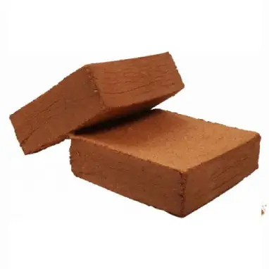 Compressed coco peat block manufacturer | VM Global Impex